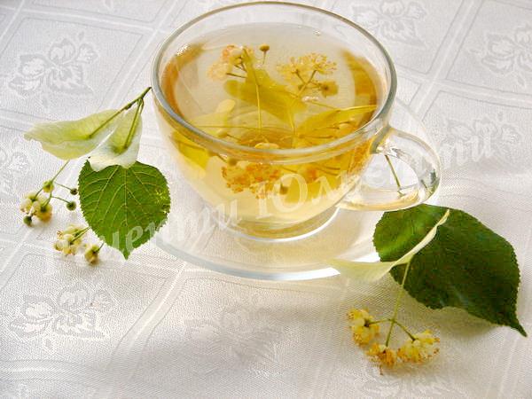 духмяний липовий чай
